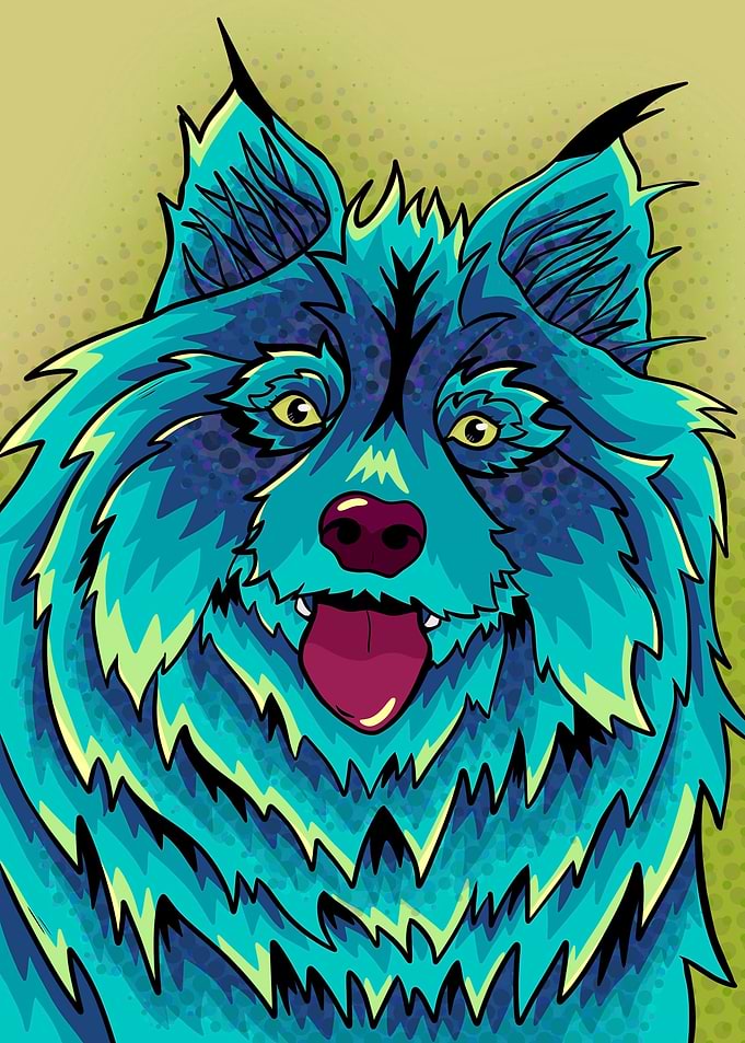Light blue fluffy wolf dog