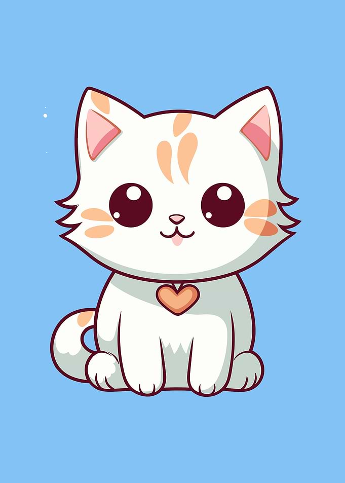 baby cat