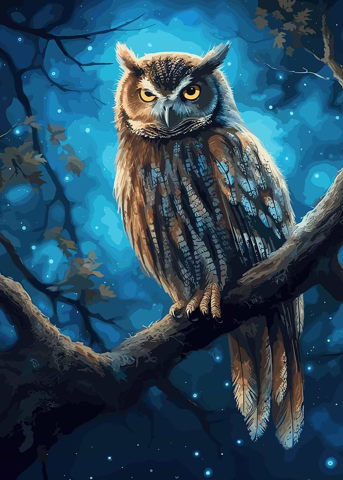 Owl Night