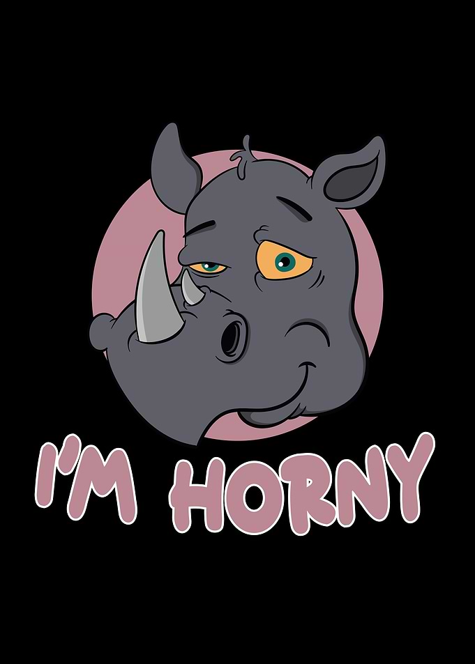 Funny Rhino Gift