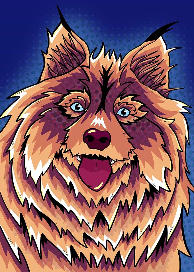 Golden fluffy wolf dog