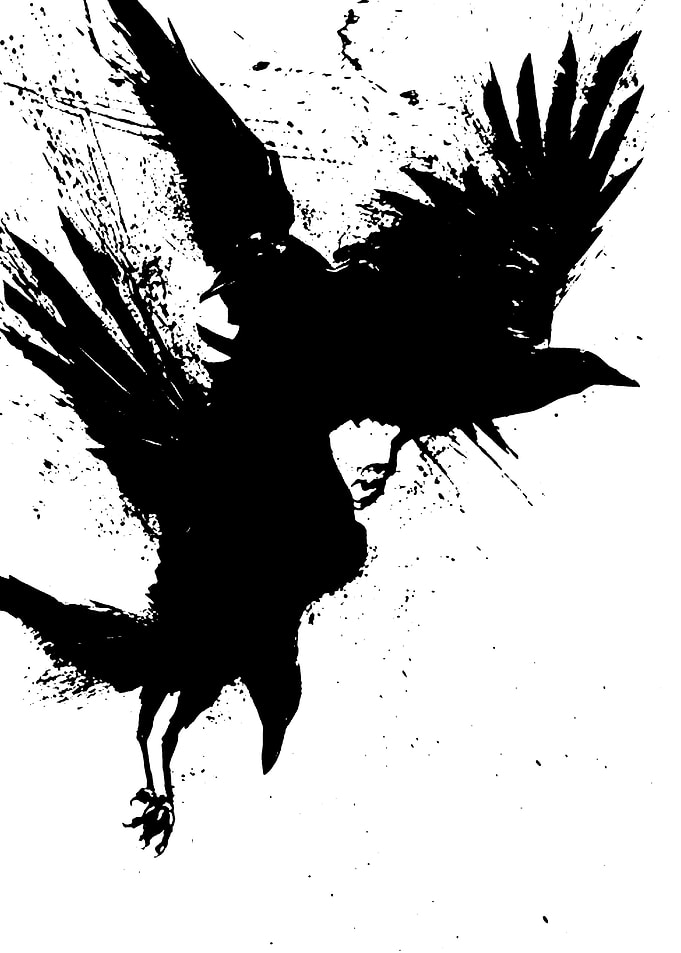 bird