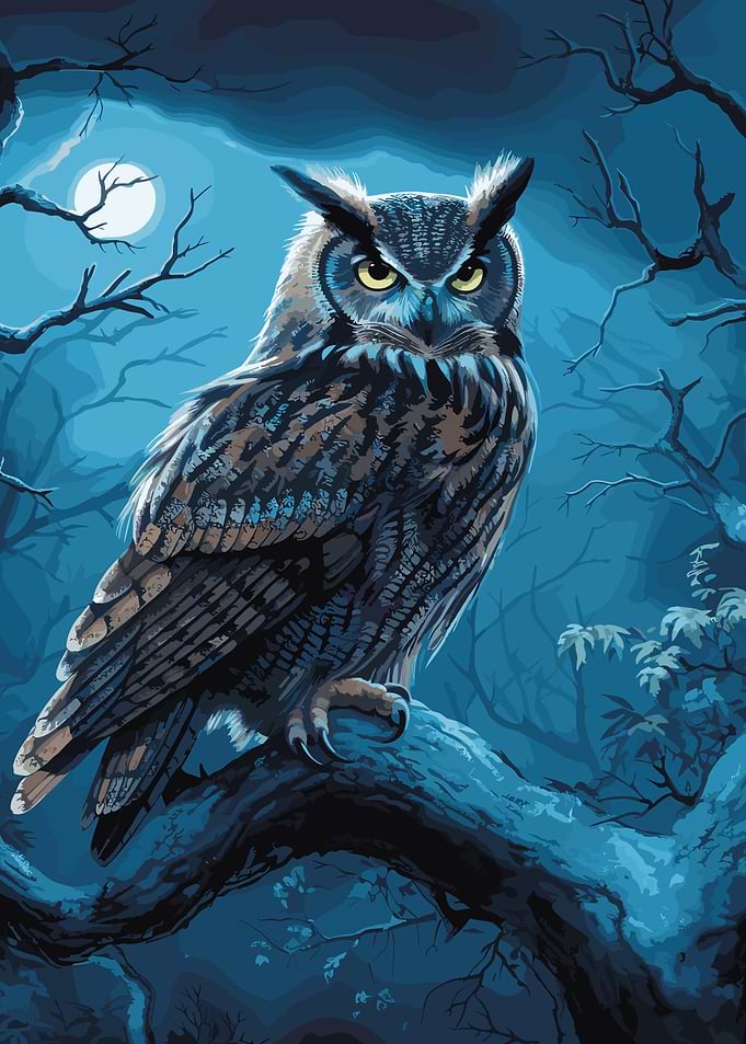 Owl Night