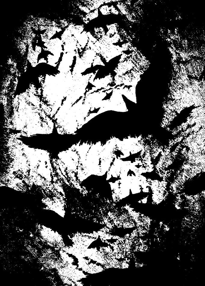 bird