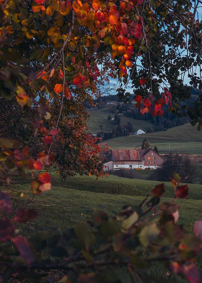 Autumn Barn