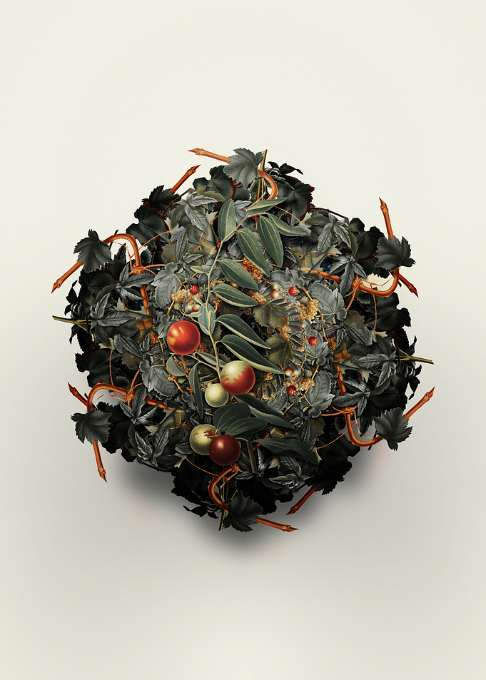 Chinese Jujube Wreath