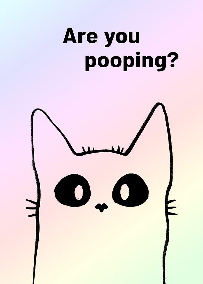 Black Cat Are You Pooping