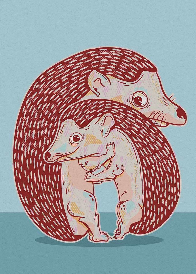 Hedgehogs hugging