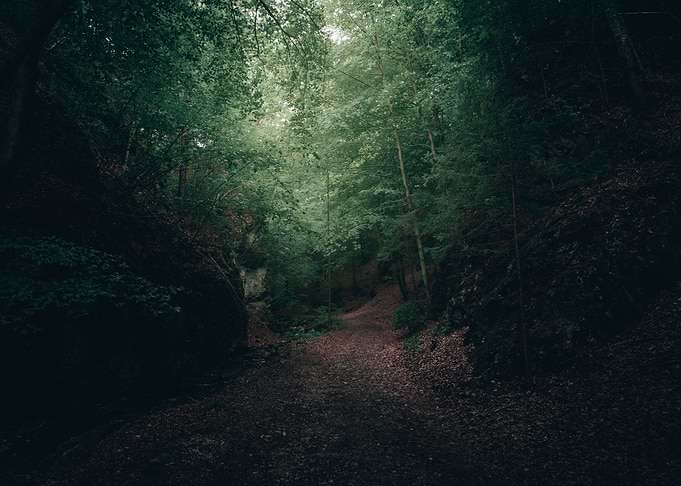 Peaceful Stroll
