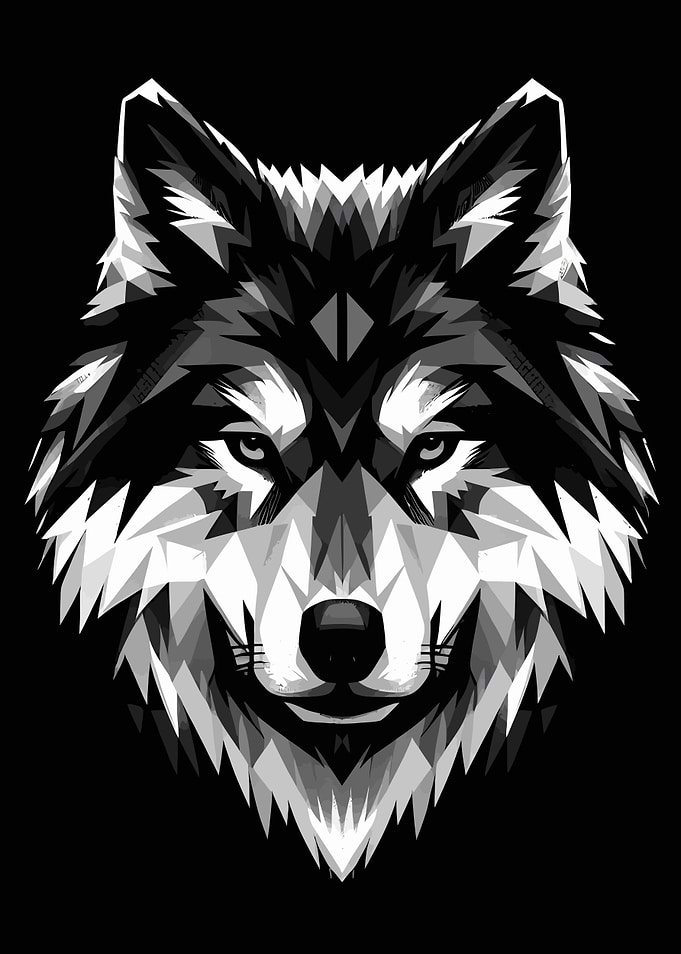 Wildlife Artwork