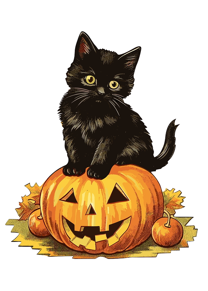 Halloween Black Cat