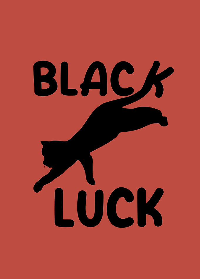 Black Cat black luck
