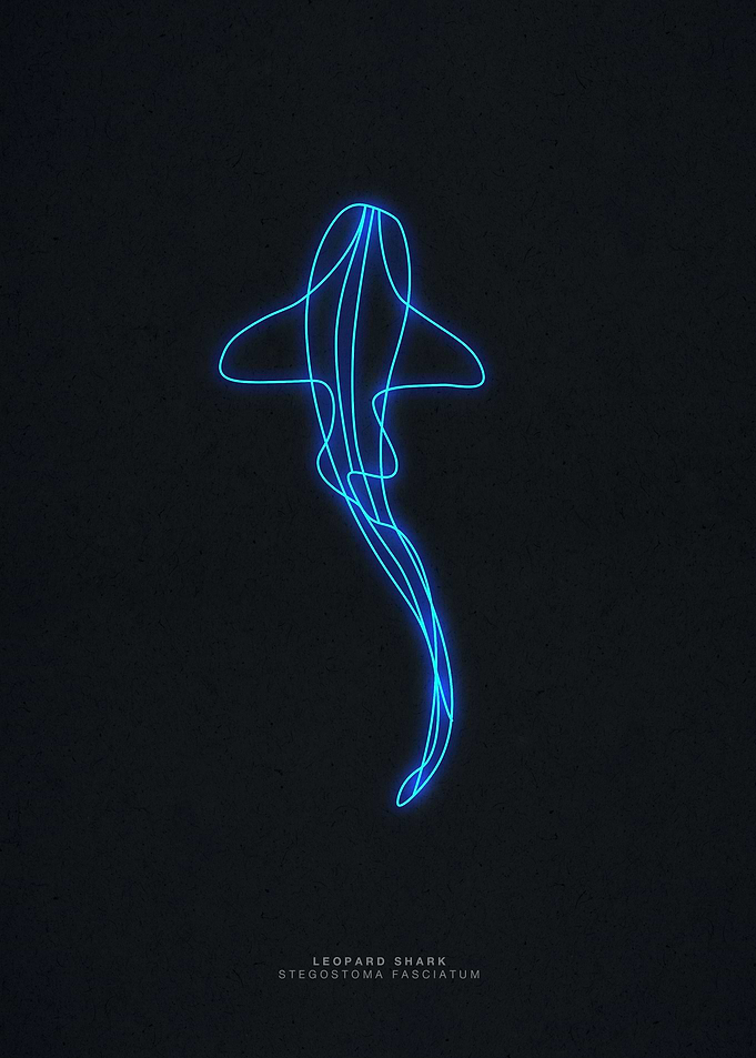 Neon leopard shark