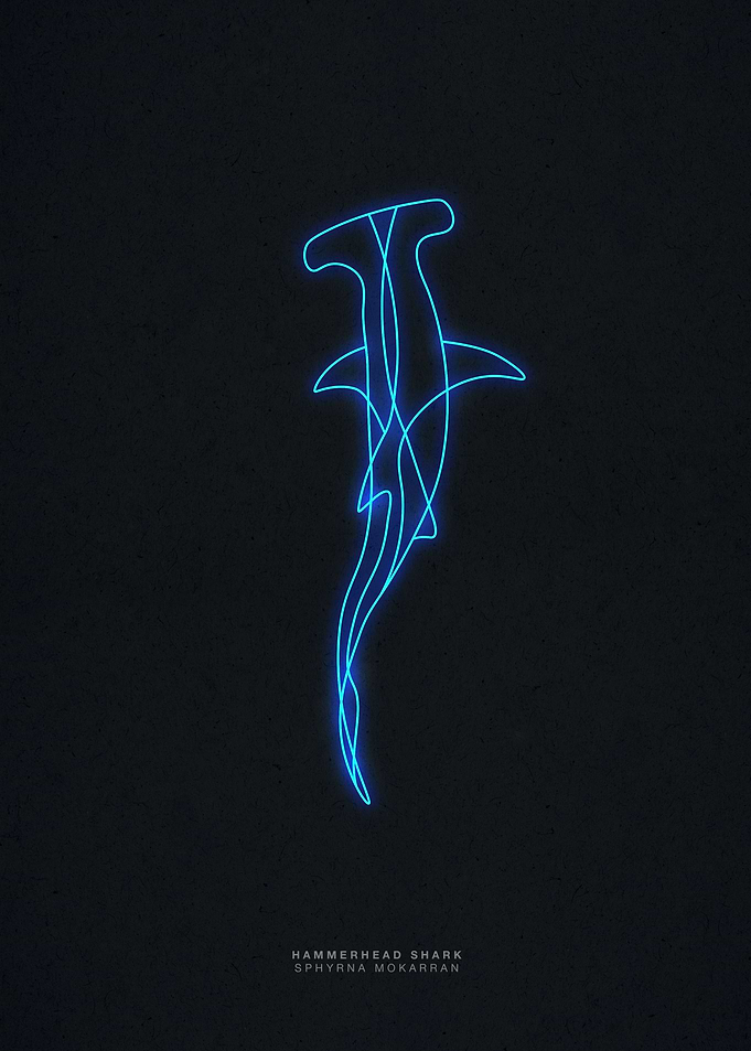 Neon hammerhead shark