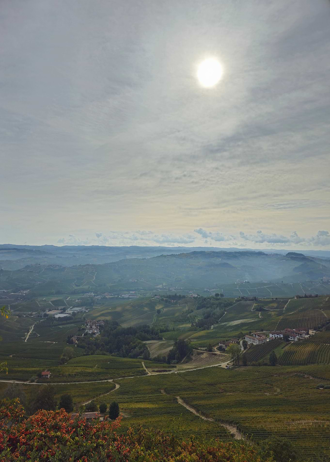 La Morra View