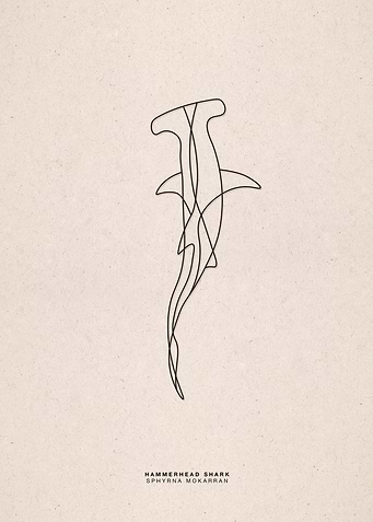 line art hammerhead shark