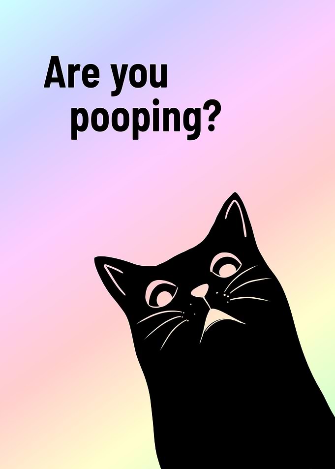 Black Cat Are You Pooping