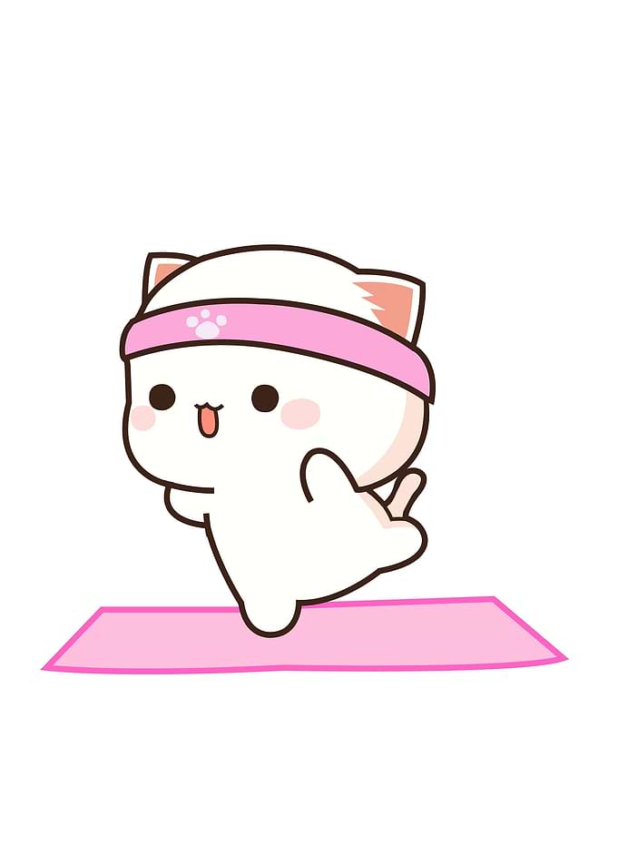 cute cat animals
