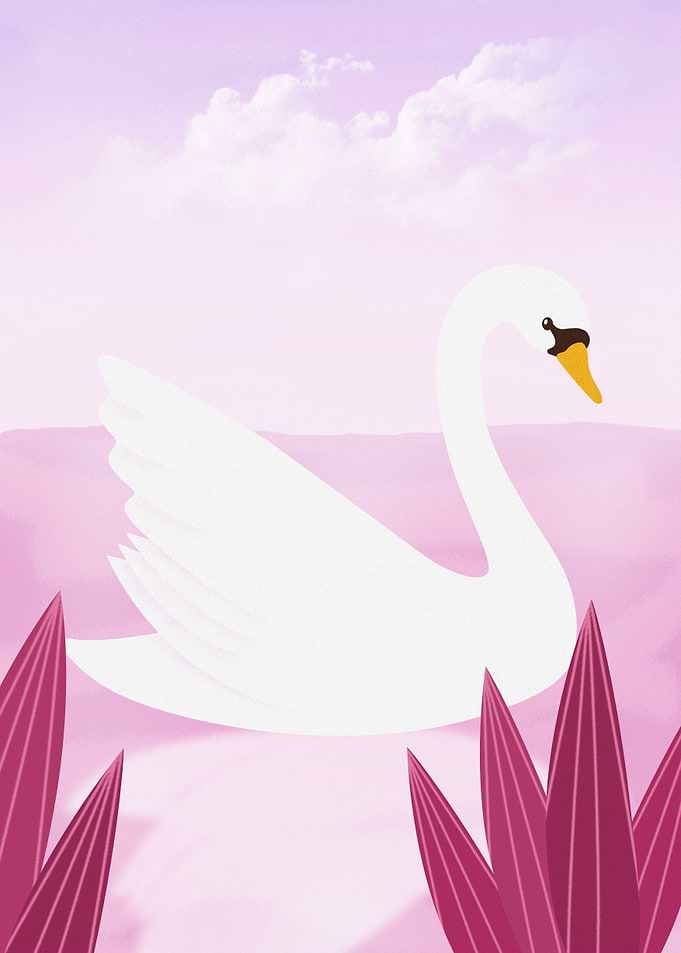 Swan Illustration