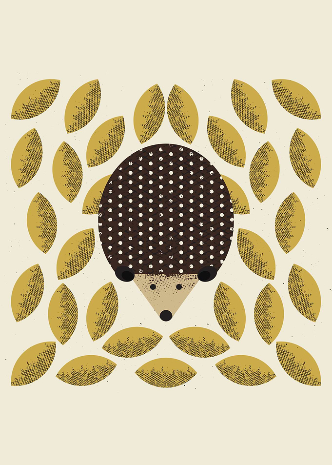 Hedgehog