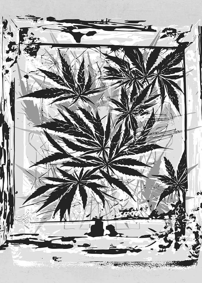 Abstract Weed