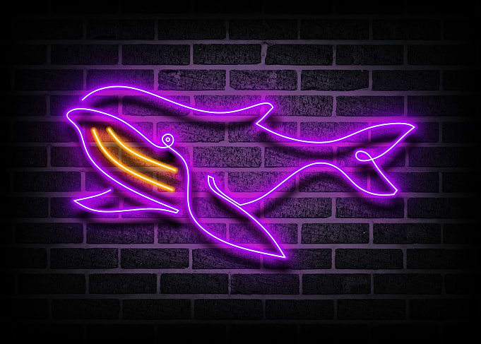 Whale Neon