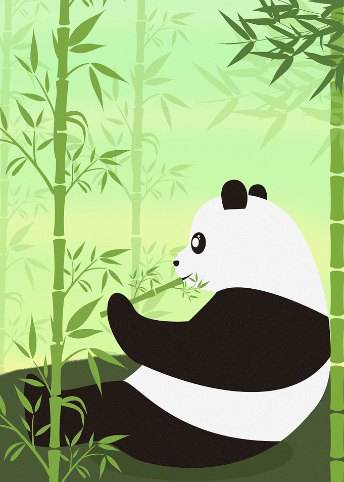 Cute Panda Illustration