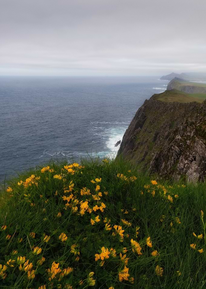 above Dingle coast