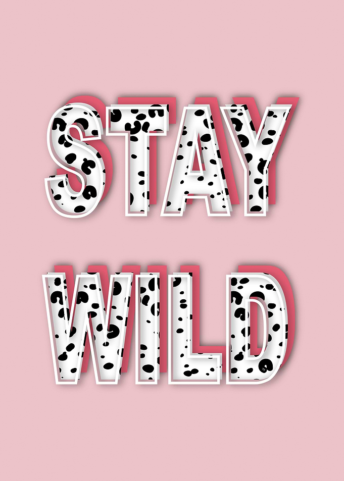 Pink Stay Wild Quote