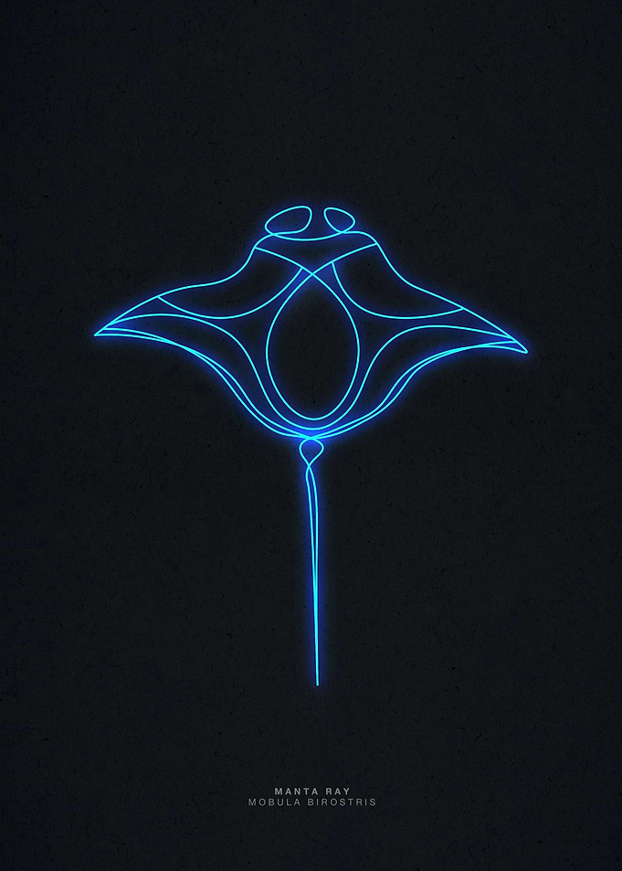 Neon manta ray