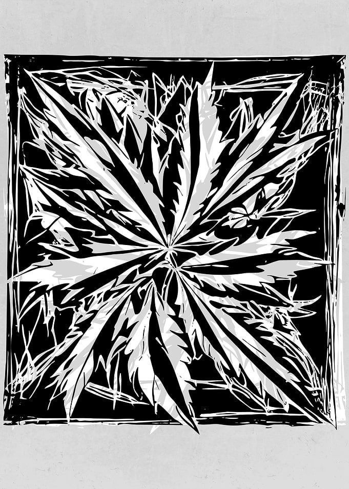 Abstract Weed