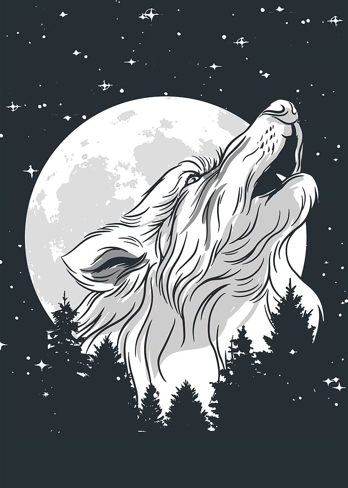 Wolf Howling