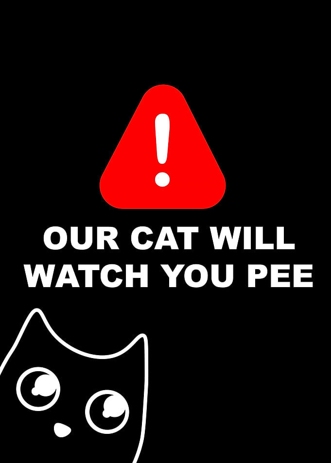 funny black cat pee