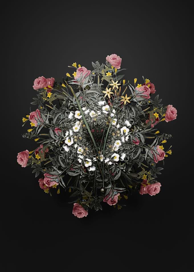 Ixia Longiflora Wreath