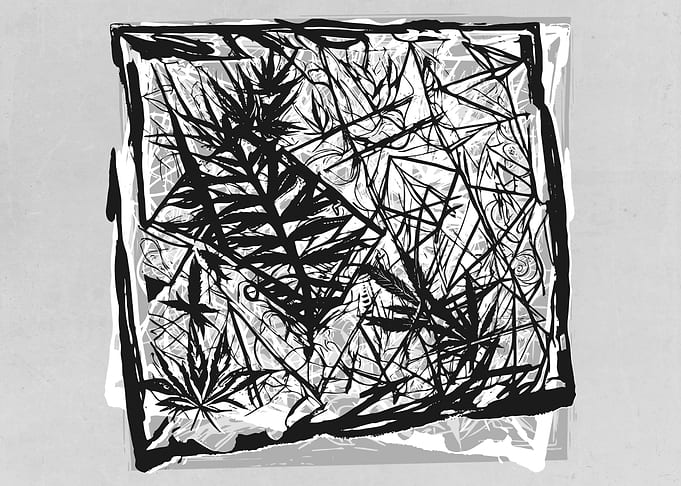 Abstract Weed