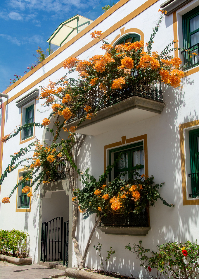 The flower house