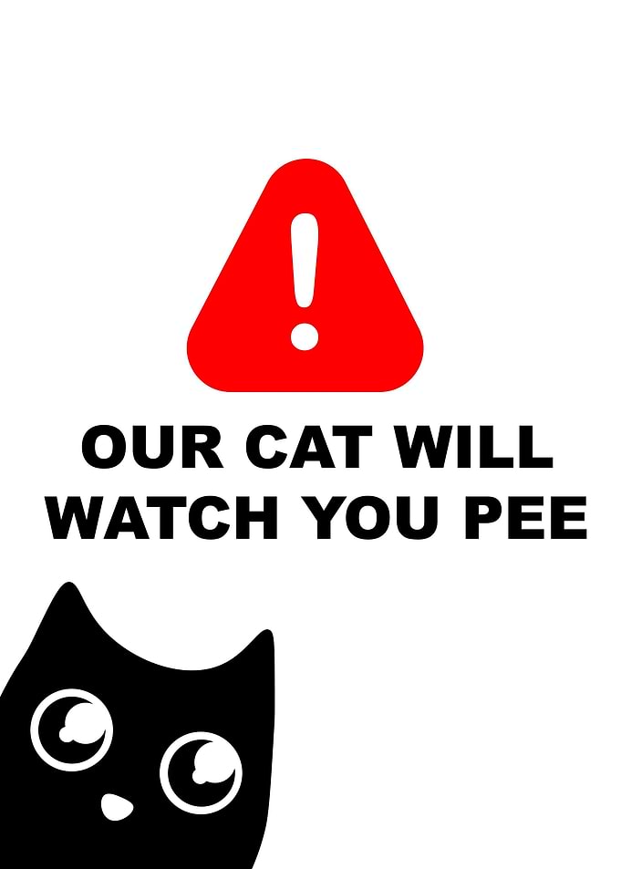 Black cat are you pooping