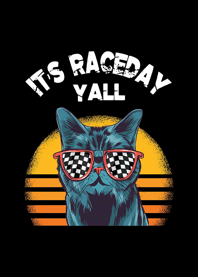 Dirt Track Racing American