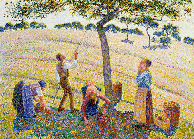 Apple Harvest