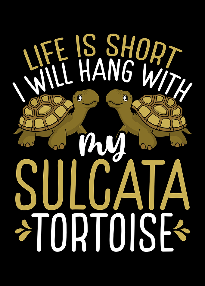 Turtle Mom Reptile Owner