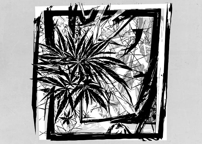 Abstract Weed