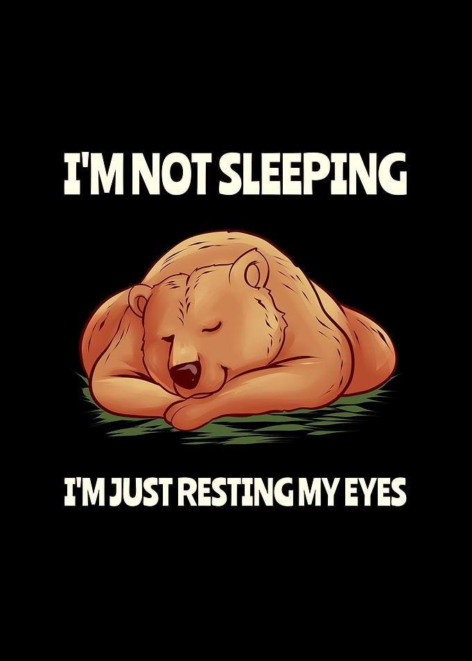 Sleeping Bear Lazy Sleep