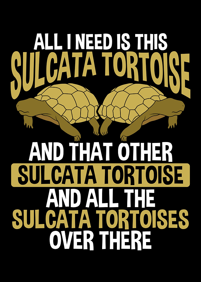 Tortoise Mom Turtle Lover