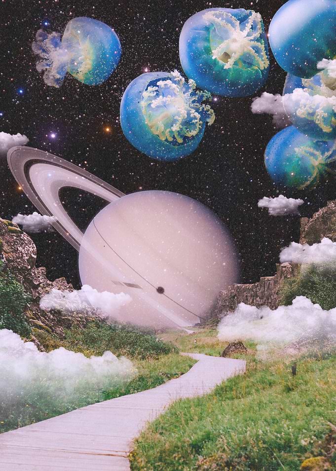 Surreal Cosmic Garden