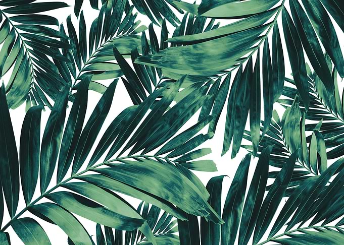 Palm Leaves Pattern Love 1