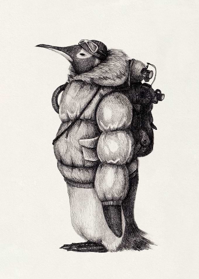 Arctic Explorer