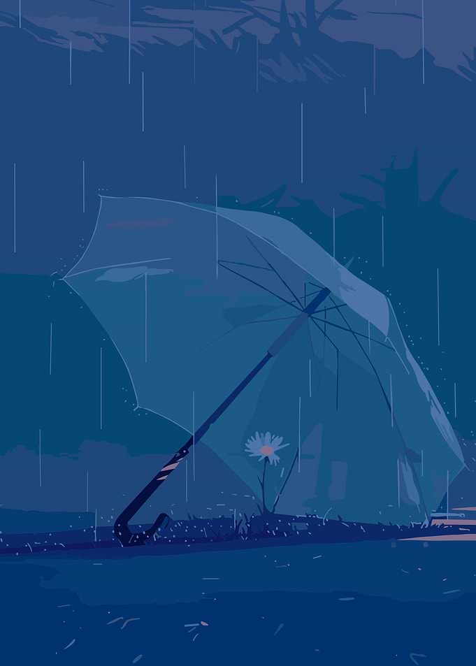 romantic rain and flower