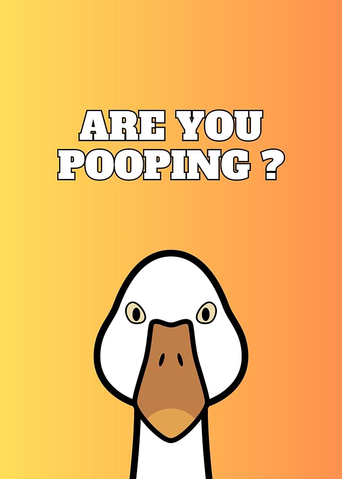 Duck Are you pooping Goose