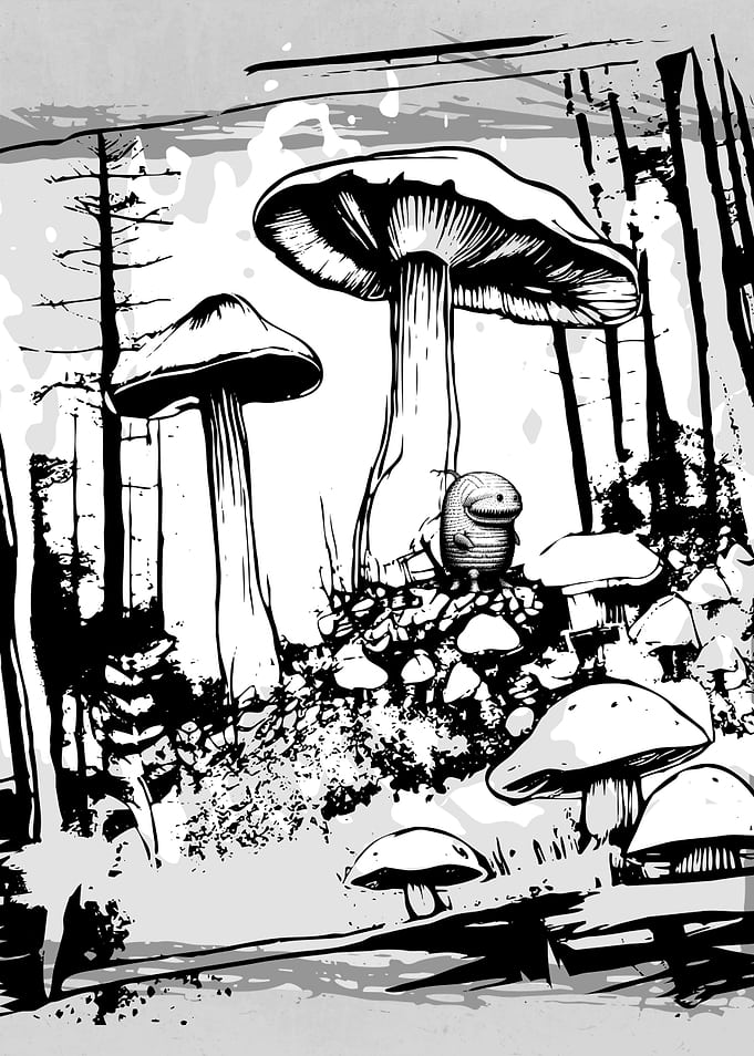 Autumn Mushrooms Forest