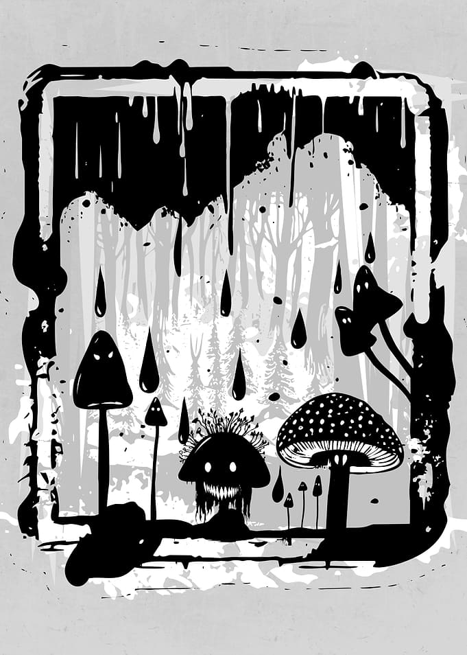 Autumn Mushrooms Forest